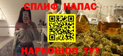 сатива Кинель