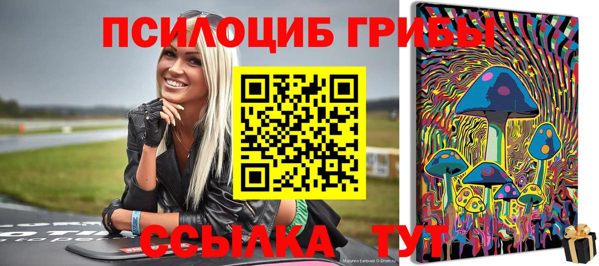 как найти наркотики  Галлюциногенные грибы прущие грибы  Вход с VPN  Лесозаводск 