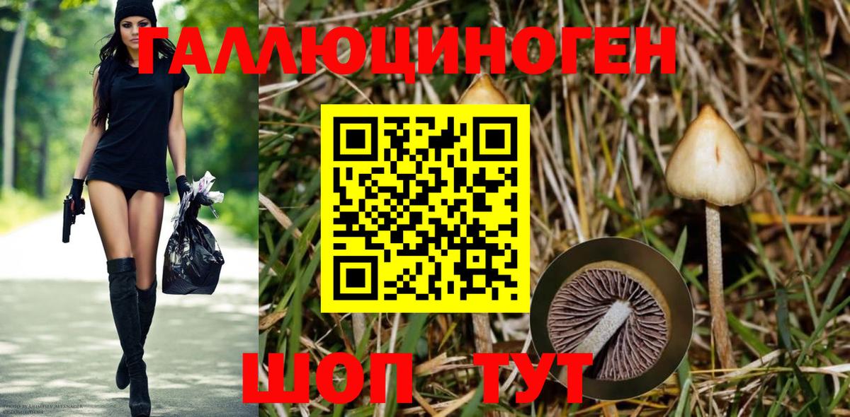 Псилоцибиновые грибы Magic Shrooms Лесозаводск